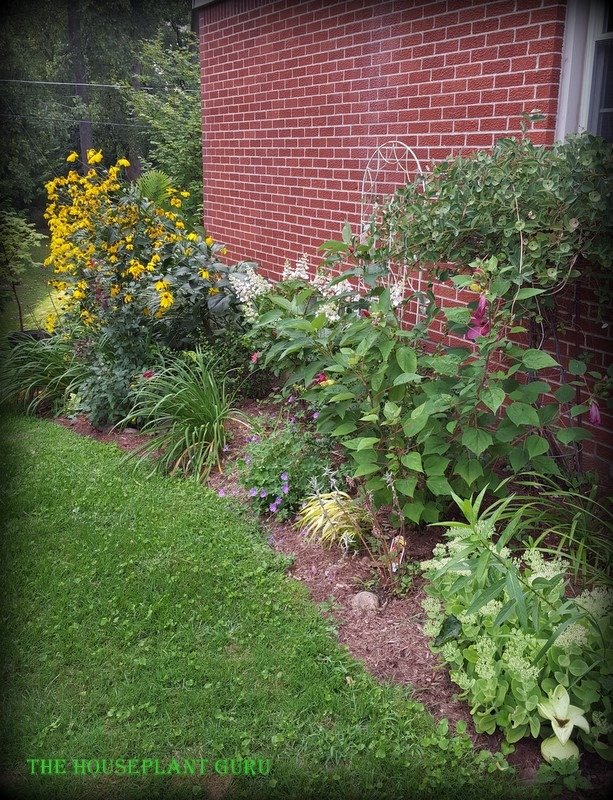 The south side of the house today
