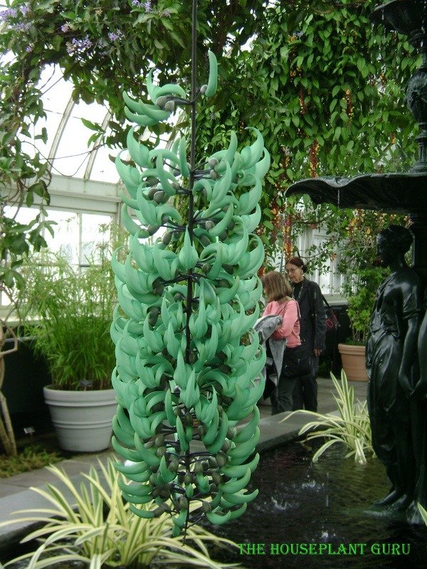 new york bot garden 141