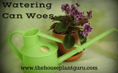 Watering Can Woes