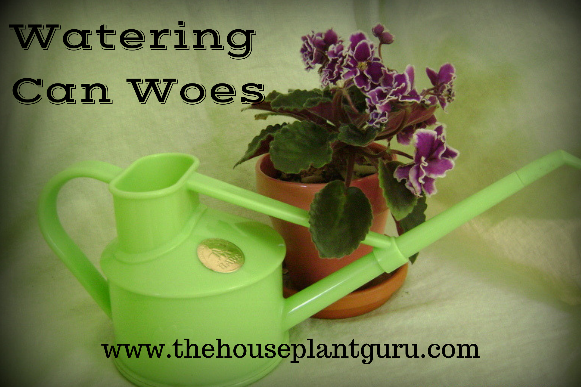 Watering Can Woes