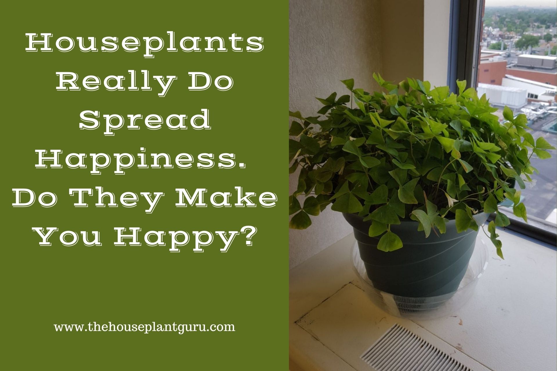 Houseplants Really Do Spread Happiness. Do They Make You Happy
