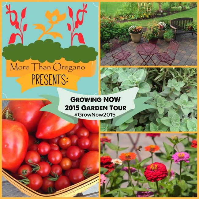 Taking Back The Garden: #GrowNOW2015 Week 14