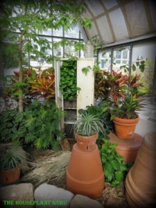 Franklin Park Conservatory