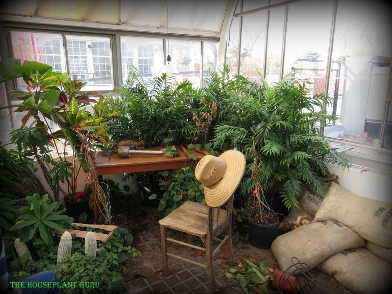 Franklin Park Conservatory