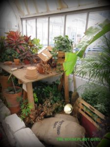 Franklin Park Conservatory
