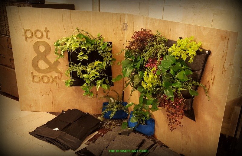 A Plant Filled Day in Detroit