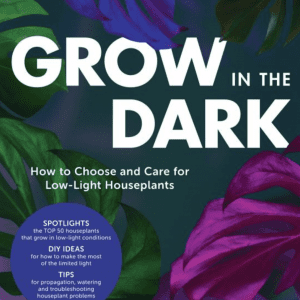 Grow in the Dark: How to Choose and Care for Low-Light Houseplants