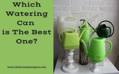 Which Watering Can is The Best One?