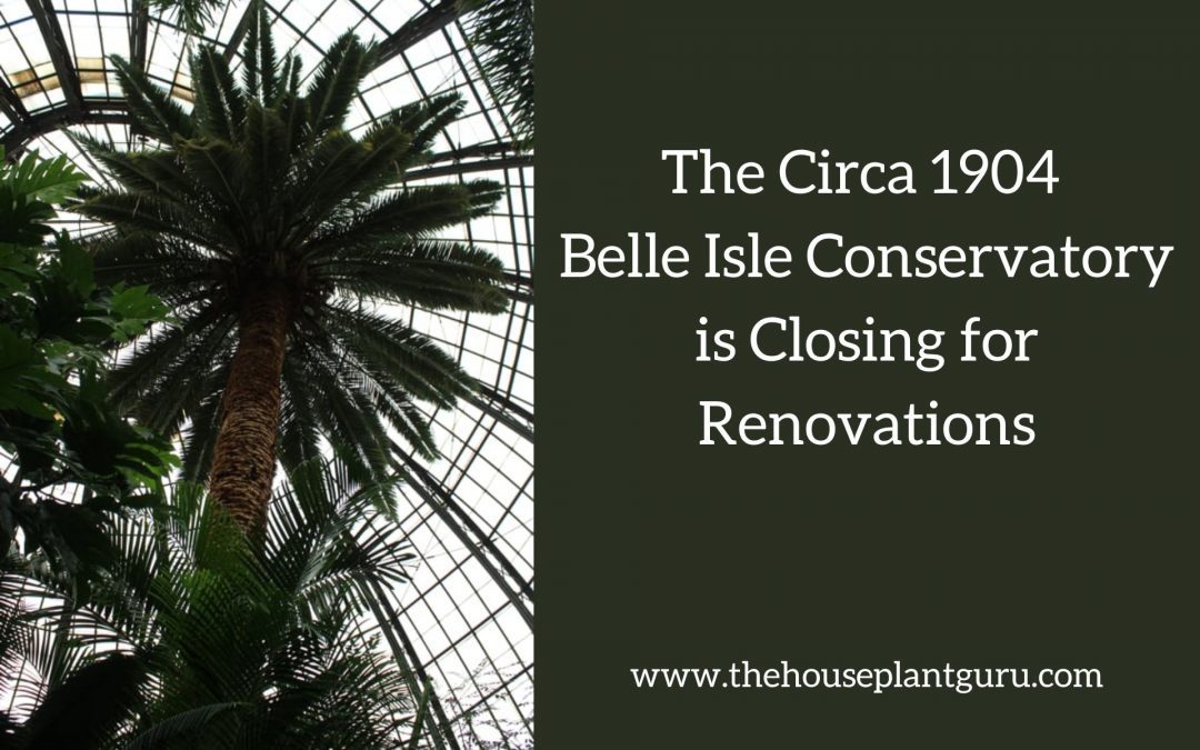 The Circa 1904 Belle Isle Conservatory is Closing for Renovations