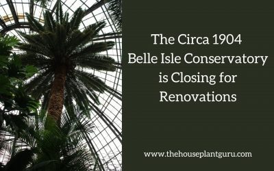 The Circa 1904 Belle Isle Conservatory is Closing for Renovations