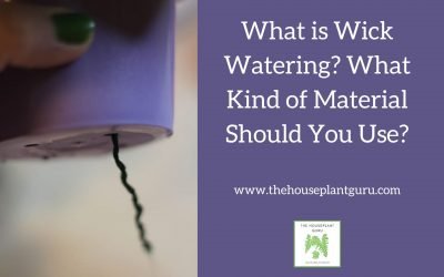What is Wick Watering? What Kind of Material Should You Use?