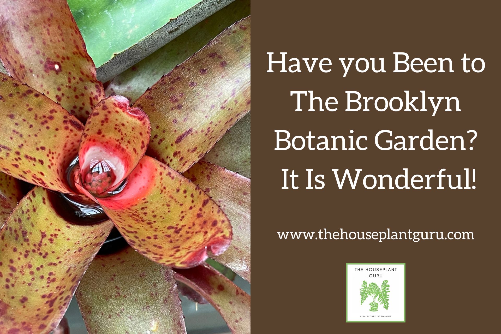 Have you Been to The Brooklyn Botanic Garden It Is Wonderful!