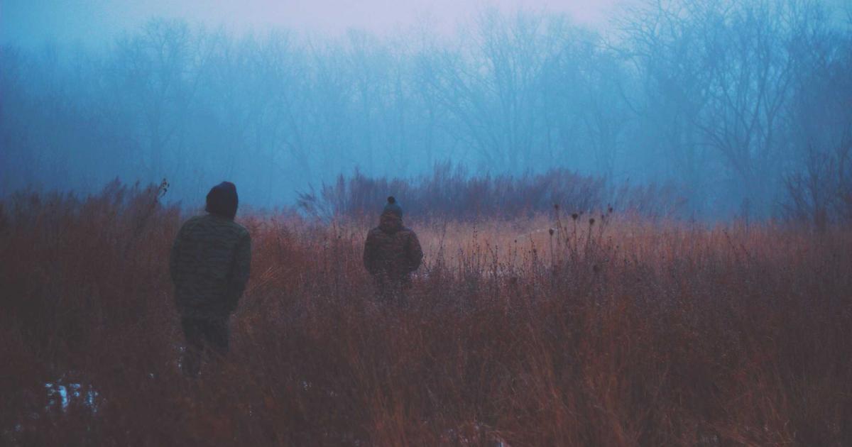 Read more about the article Grow Lights Secrets the Experts Won’t Tell You