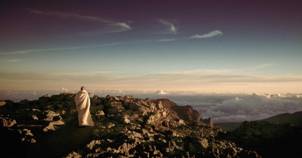 Read more about the article The Ultimate Guide to Pothos for Beginners