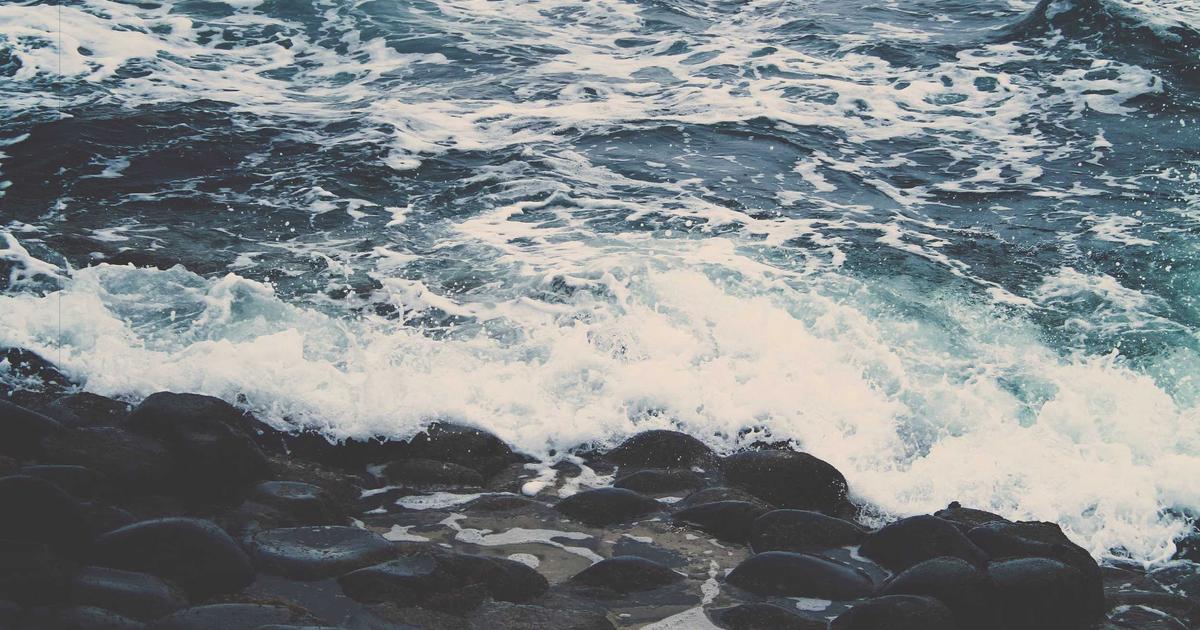 Read more about the article Top 10 Fiddle Leaf Fig Tips Every Beginner Should Know