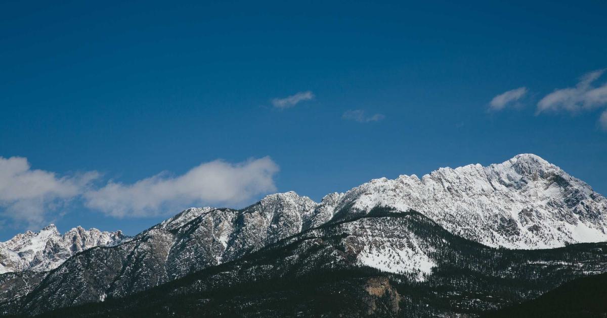 Read more about the article Why Your Snake Plant Attempts Keep Failing (And How to Fix It)