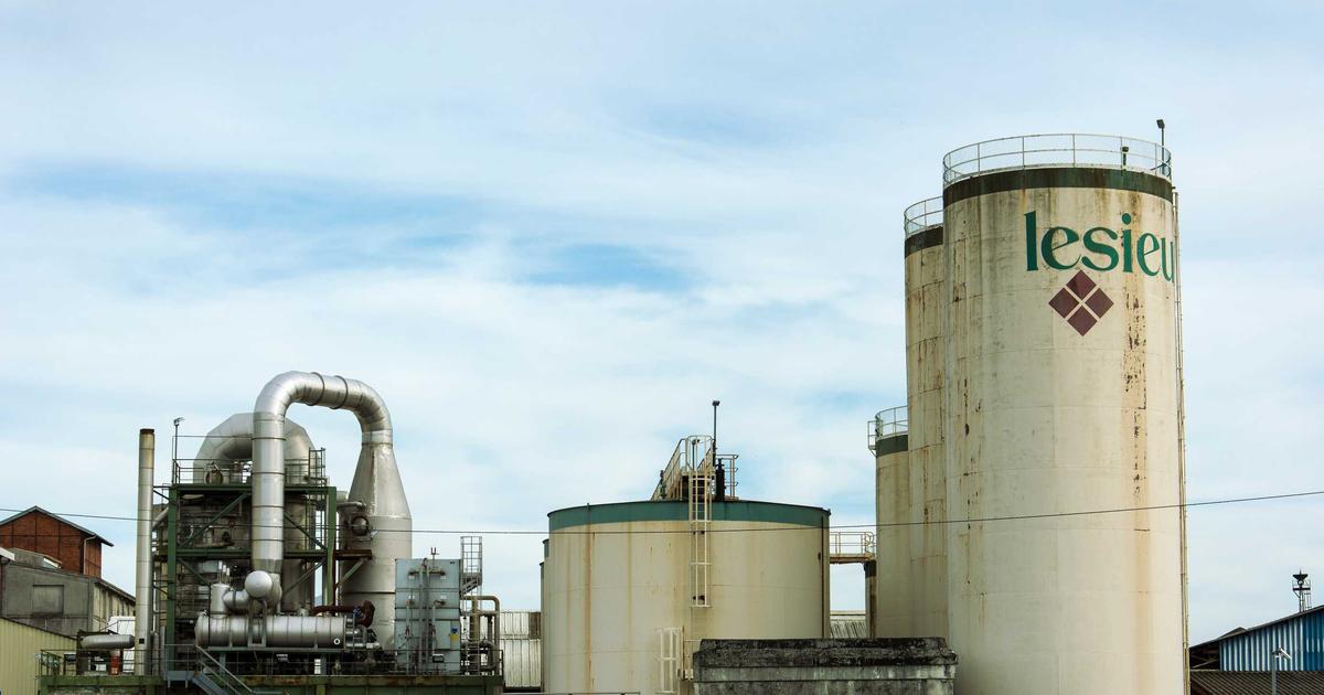 Read more about the article Plant Propagation 101: Everything You Need to Know