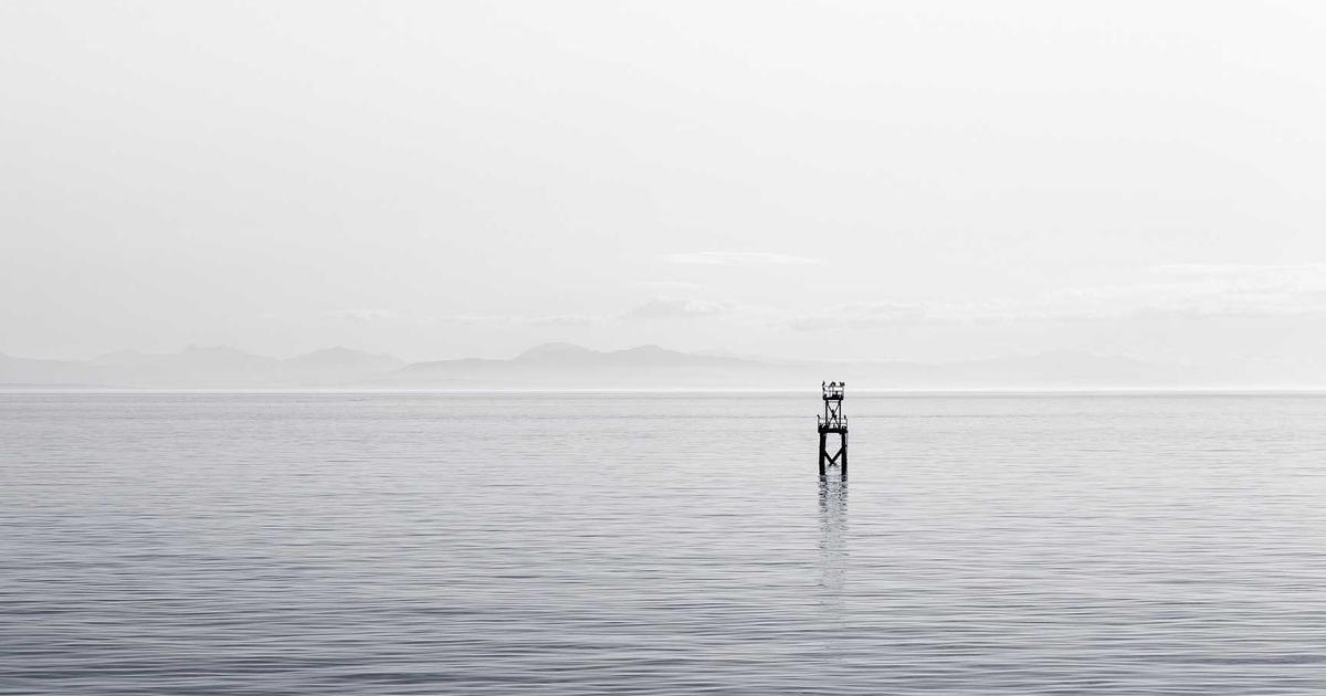 Read more about the article Repotting Plants Secrets: What Experts Don’t Tell You