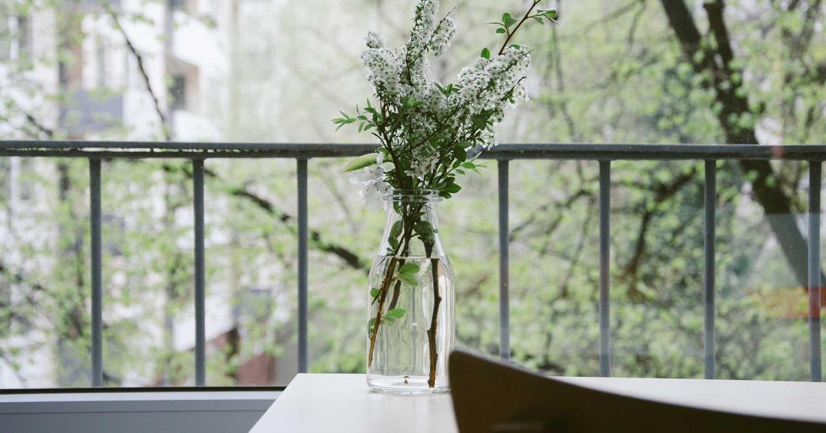 Read more about the article Top Plant Pest Control Mistakes and How to Avoid Them