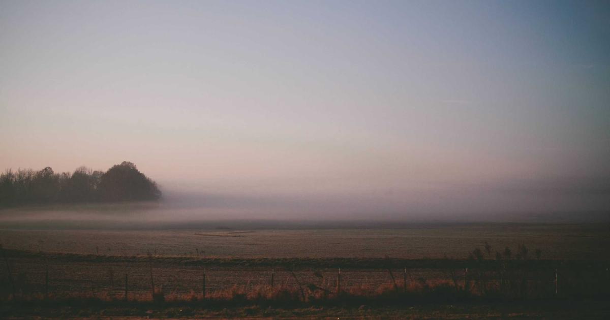 Read more about the article Repotting Plants Tips Every Indoor Plants Enthusiast Should Know