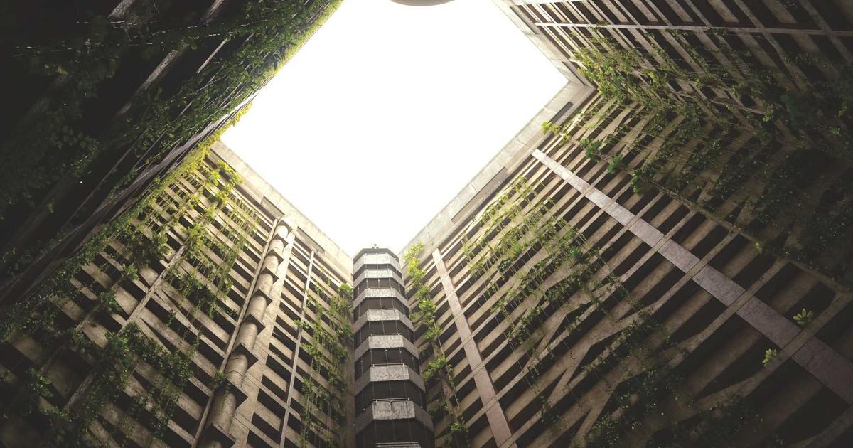 Read more about the article Top 10 Snake Plant Mistakes and How to Avoid Them