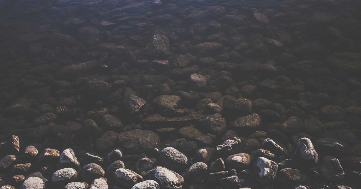 Read more about the article How to Master Succulent Care: Pro Tips