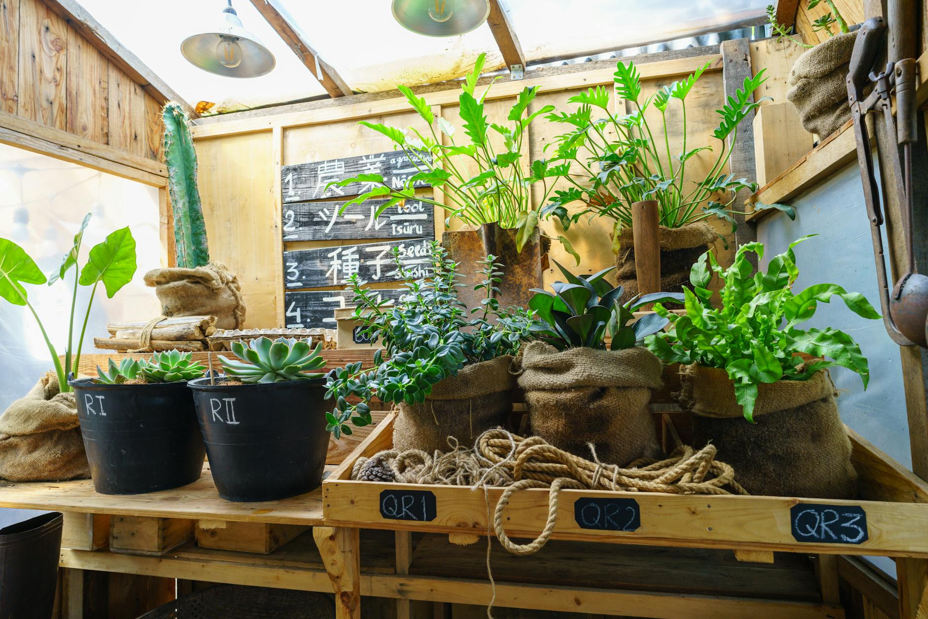 Read more about the article 7 Signs Your Houseplant Is Dying (And Exactly How to Save It)