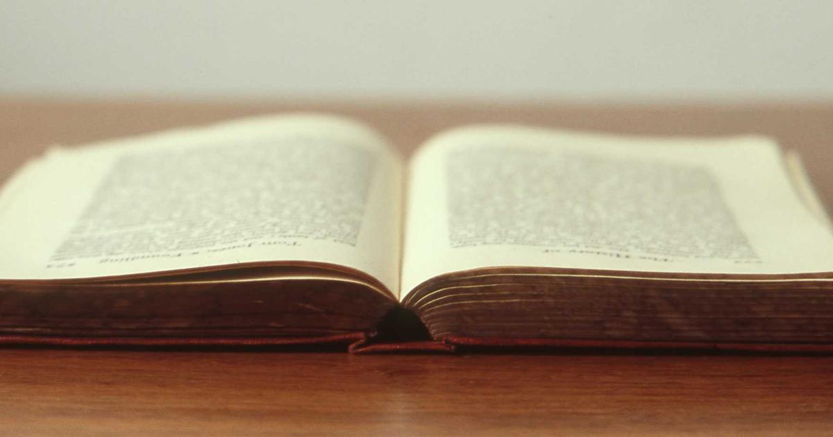 Read more about the article Top 10 Pothos Varieties and How to Tell Them Apart